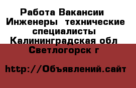 Работа Вакансии - Инженеры, технические специалисты. Калининградская обл.,Светлогорск г.